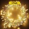Premium 100 LED Black Plastic String Lights – 8 Lighting Modes, Flexible, Plug-in